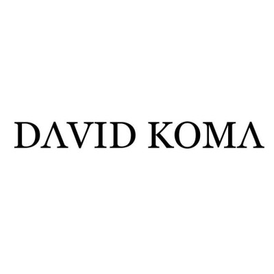 DAVID KOMA LIMITED